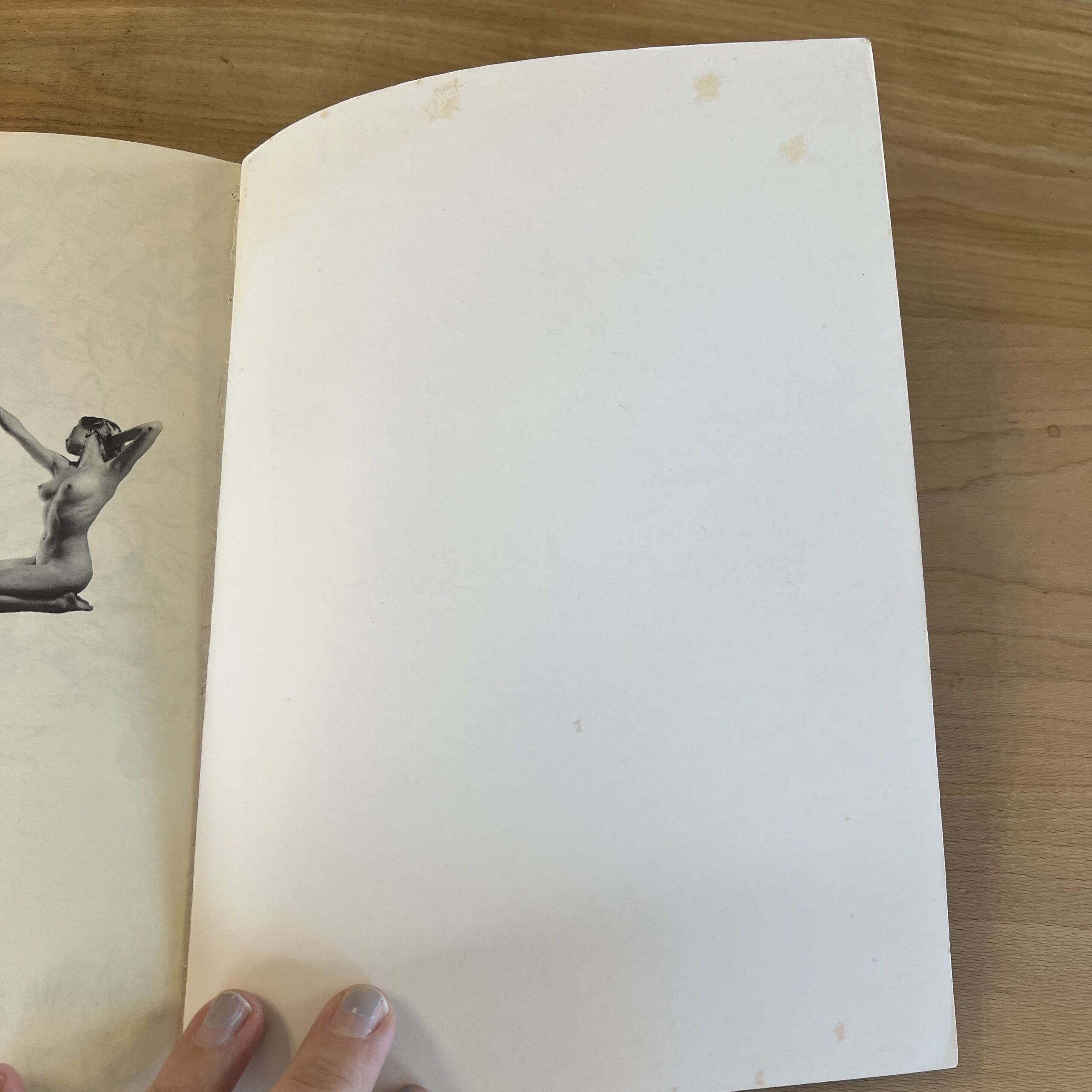 What’s Nude by Fred Gwynne and Peter Basch - Image 7