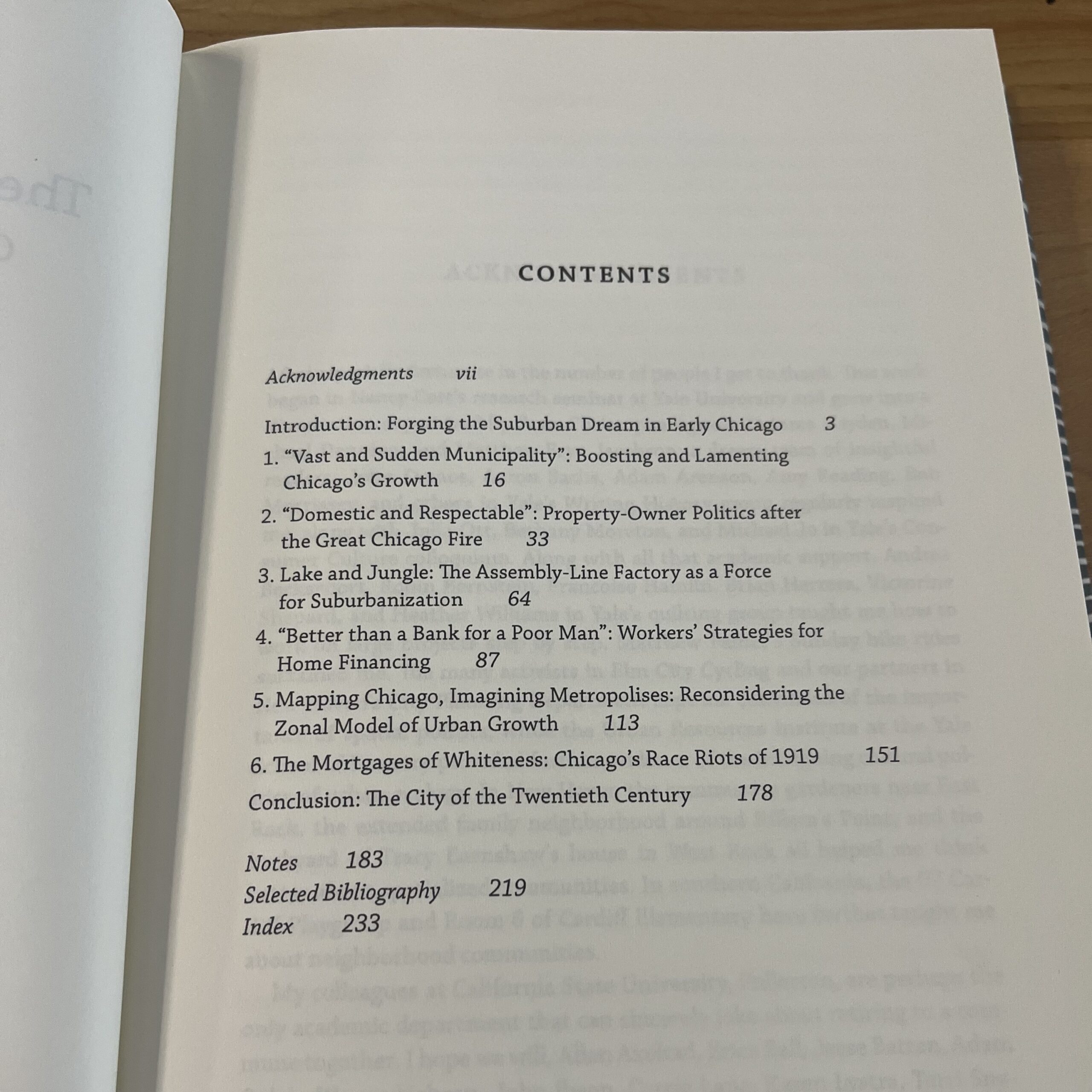 The Working Man’s Reward by Elaine Lewinnek - Image 5