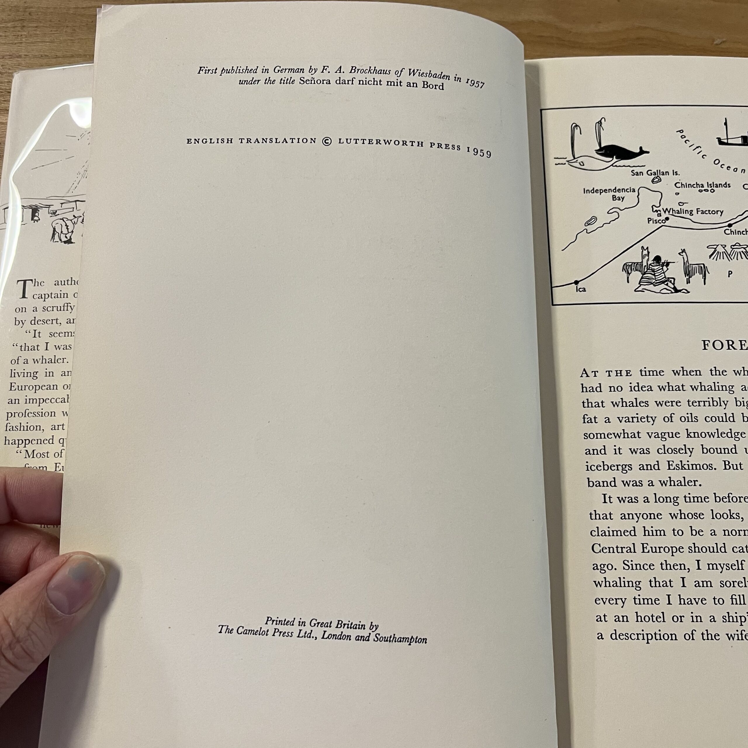 Señora and the Whales by Annemarie Lennartz - Image 5