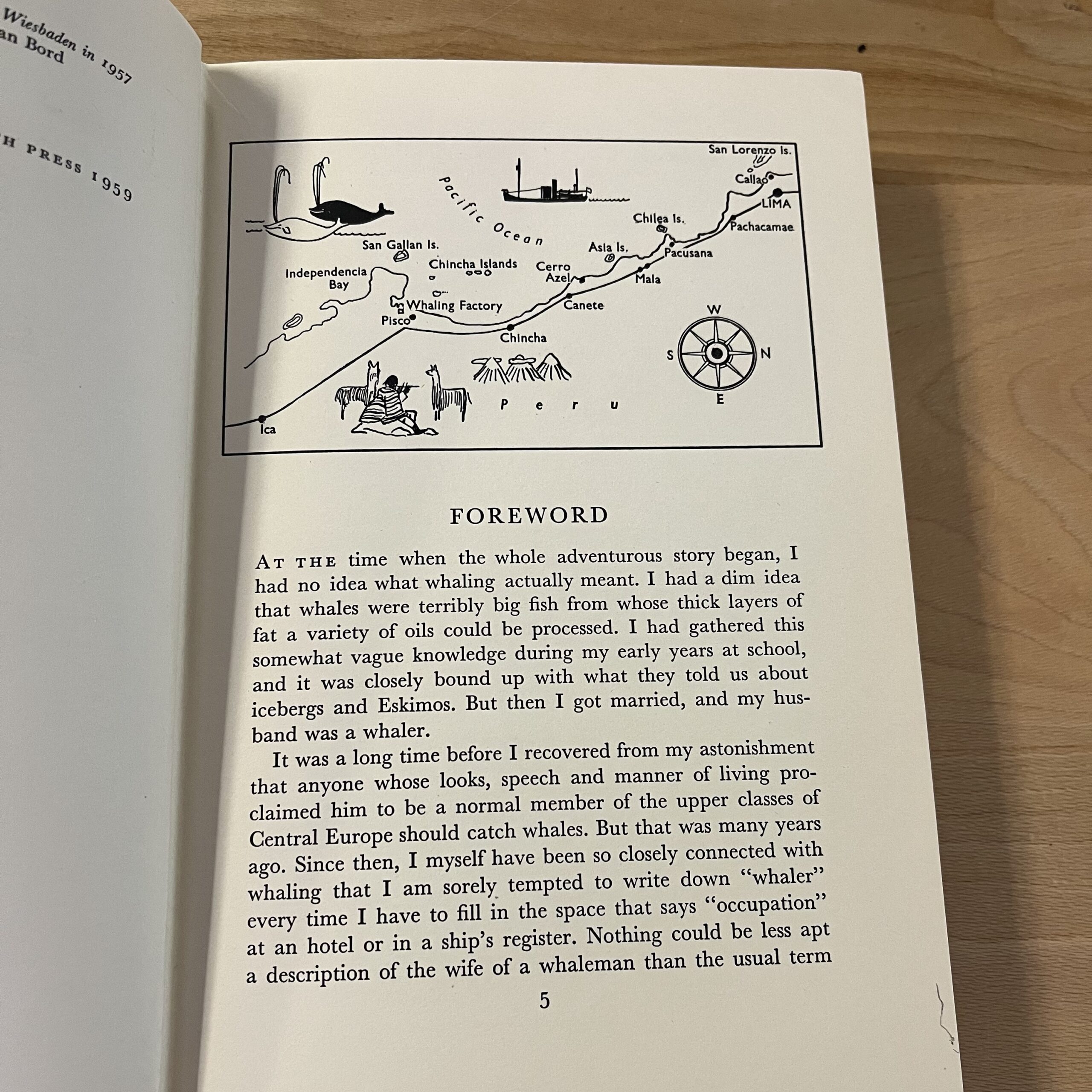 Señora and the Whales by Annemarie Lennartz - Image 7