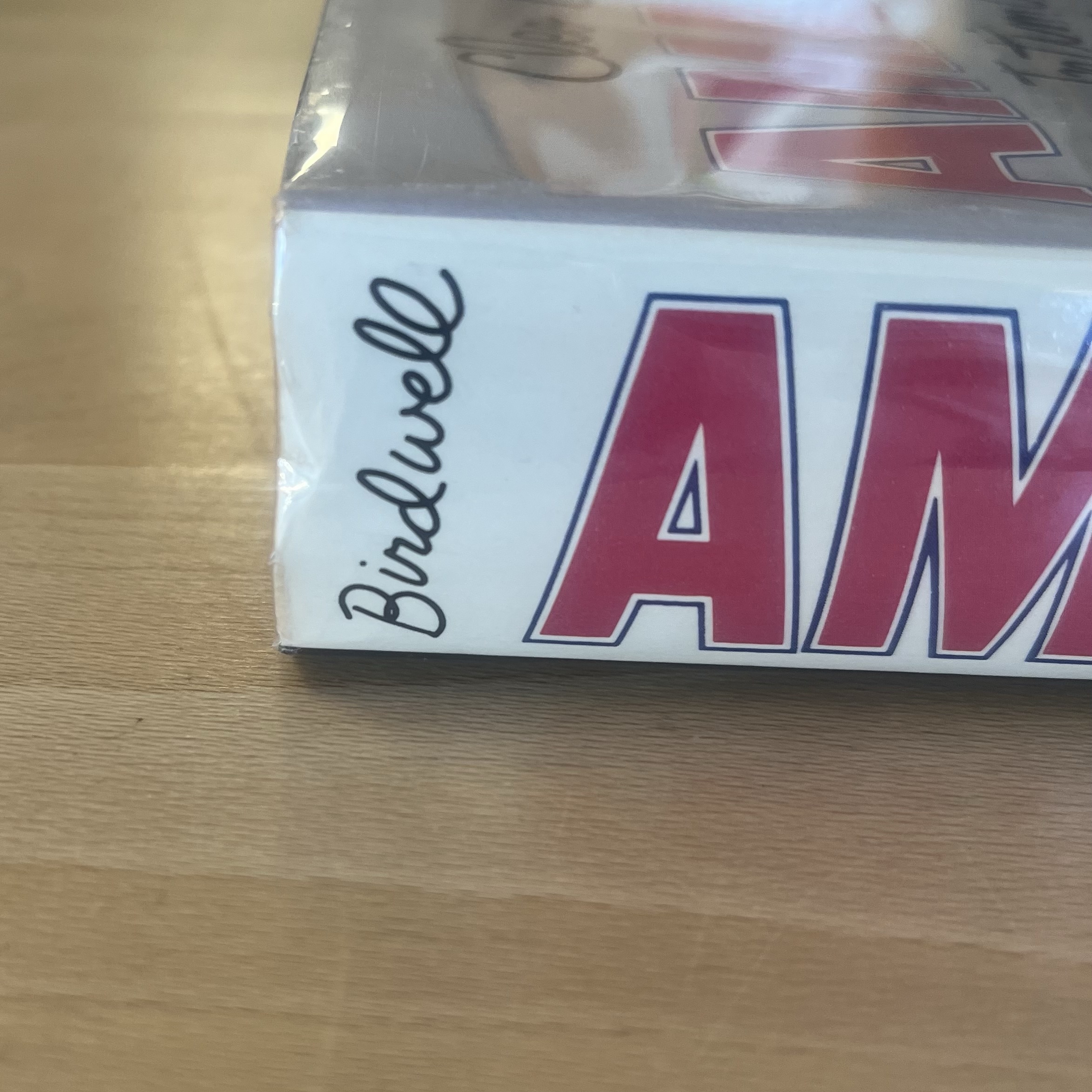 Amazons by Cleo Birdwell (aka Don DeLillo) - Image 3